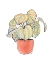 Picture of STRIPED PATHOS IN TERRA COTTA POT