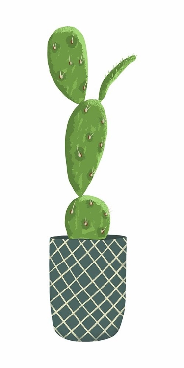 Picture of MODERN CACTI POT II