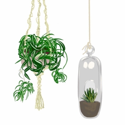 Picture of HANGING PLANT SET II