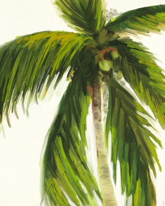 Picture of RESTING PALM I