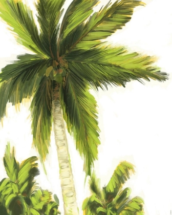 Picture of RESTING PALM II