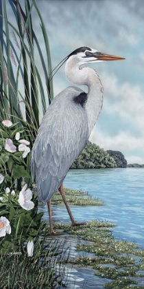 Picture of GREAT BLUE HERON