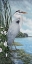 Picture of GREAT BLUE HERON