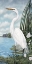 Picture of GREAT WHITE EGRET