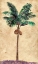 Picture of COCONUT TRIBAL PALM II