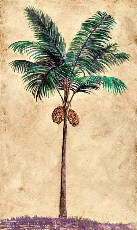 Picture of COCONUT TRIBAL PALM II