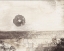 Picture of TAN PERCEPTION I