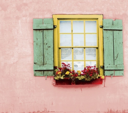 Picture of PINK ST. AUGUSTINE