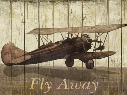 Picture of FLY AWAY