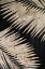 Picture of NATURAL PALMS ON BLACK III