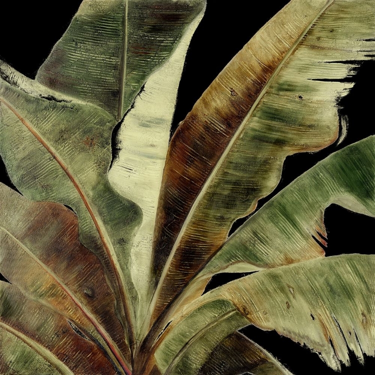 Picture of URABA PALM ON BLACK I