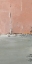 Picture of THE BLUSHING EDGE PANEL II