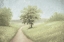 Picture of GREEN NATURE PASTURES