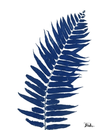 Picture of INDIGO FERNS I