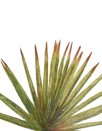 Picture of PARTIAL PALM II