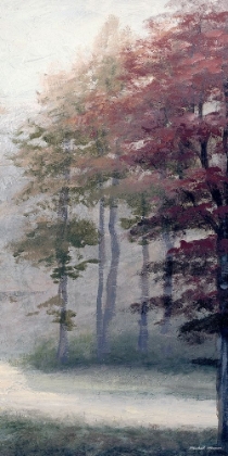 Picture of MIST OCTOBER TREES