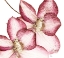 Picture of ROUGE PLUM FLOWERS II