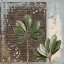 Picture of BOTANICA ON BLUE II