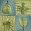 Picture of NATURA I