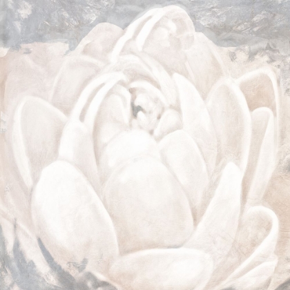 Picture of WHITE GREY FLOWER II