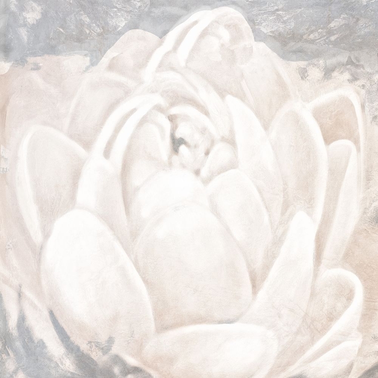Picture of WHITE GREY FLOWER II