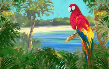 Picture of PARROT BY THE OCEAN