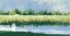 Picture of COASTAL LANDSCAPE VIEW