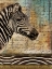 Picture of MADAGASCAR SAFARI WITH BLUE II (ZEBRA)