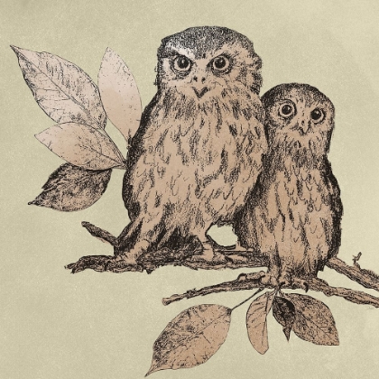 Picture of NEUTRAL LITTLE OWLS II