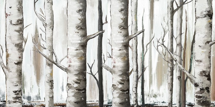 Picture of WHITE BIRCH FOREST