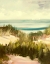 Picture of SEAGRASS