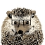 Picture of GOOD LOOKING HEDGEHOG