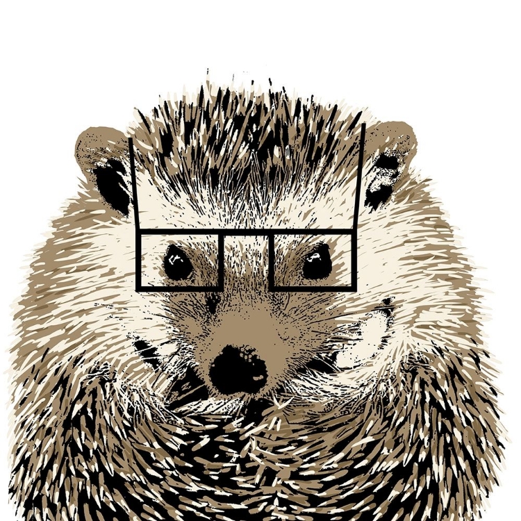 Picture of GOOD LOOKING HEDGEHOG