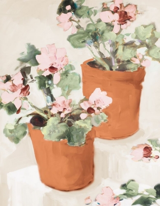 Picture of POTTED PINK GERANIUMS