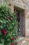 Picture of WINDOW DRESSING