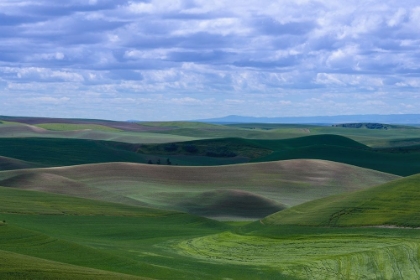 Picture of GREEN HILLS