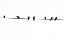 Picture of CHATTER