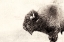 Picture of SOLITARY STRENGTH
