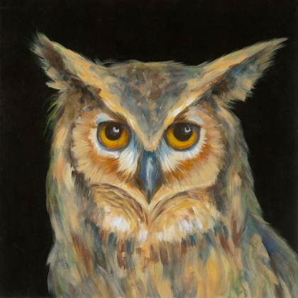 Picture of SOULFUL-EYED OWL