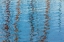 Picture of HARBOR REFLECTIONS