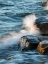 Picture of TIDAL I