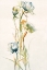Picture of LATE SUMMER WILDFLOWERS I