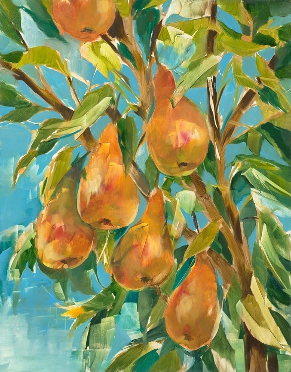 Picture of IN A PEAR TREE