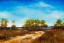 Picture of SANDY ROAD BEACH