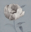 Picture of FLORAL SYMPOSIUM I V1