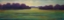 Picture of THE GRASS IS GREENER