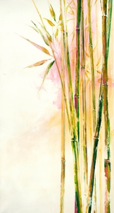 Picture of BAMBOO III