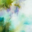 Picture of RENEWAL