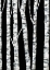 Picture of SIMPLY BIRCH