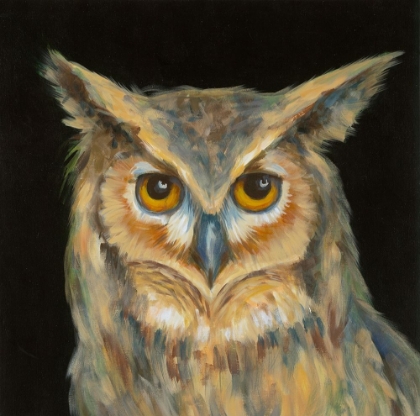 Picture of SOULFUL-EYED OWL